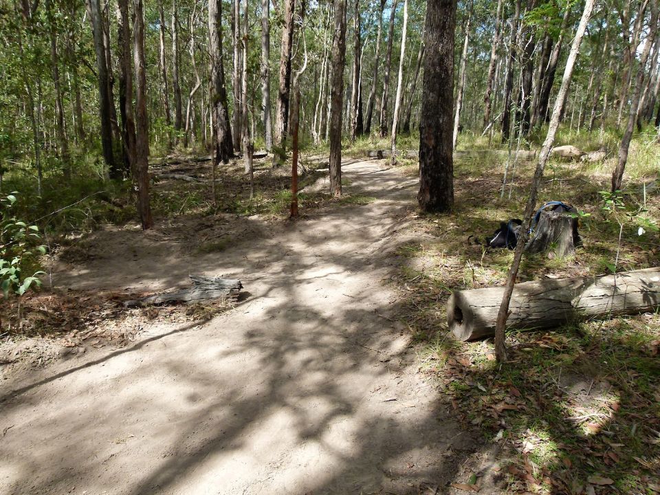 P1140012.jpg